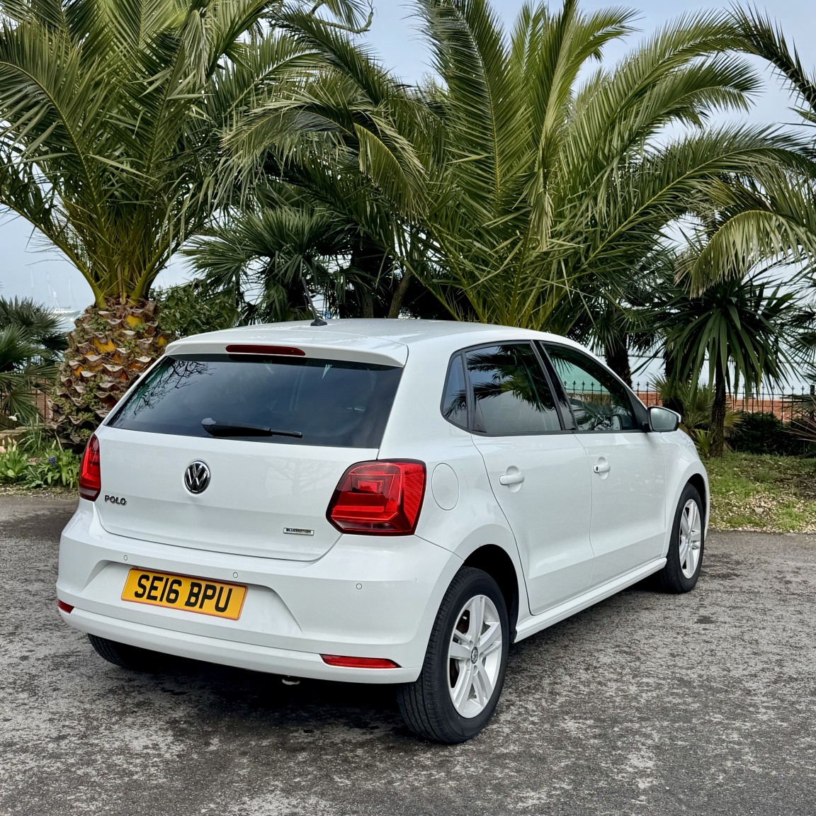 Used Volkswagen Polo 2016 for sale - 77807145: Photo 3