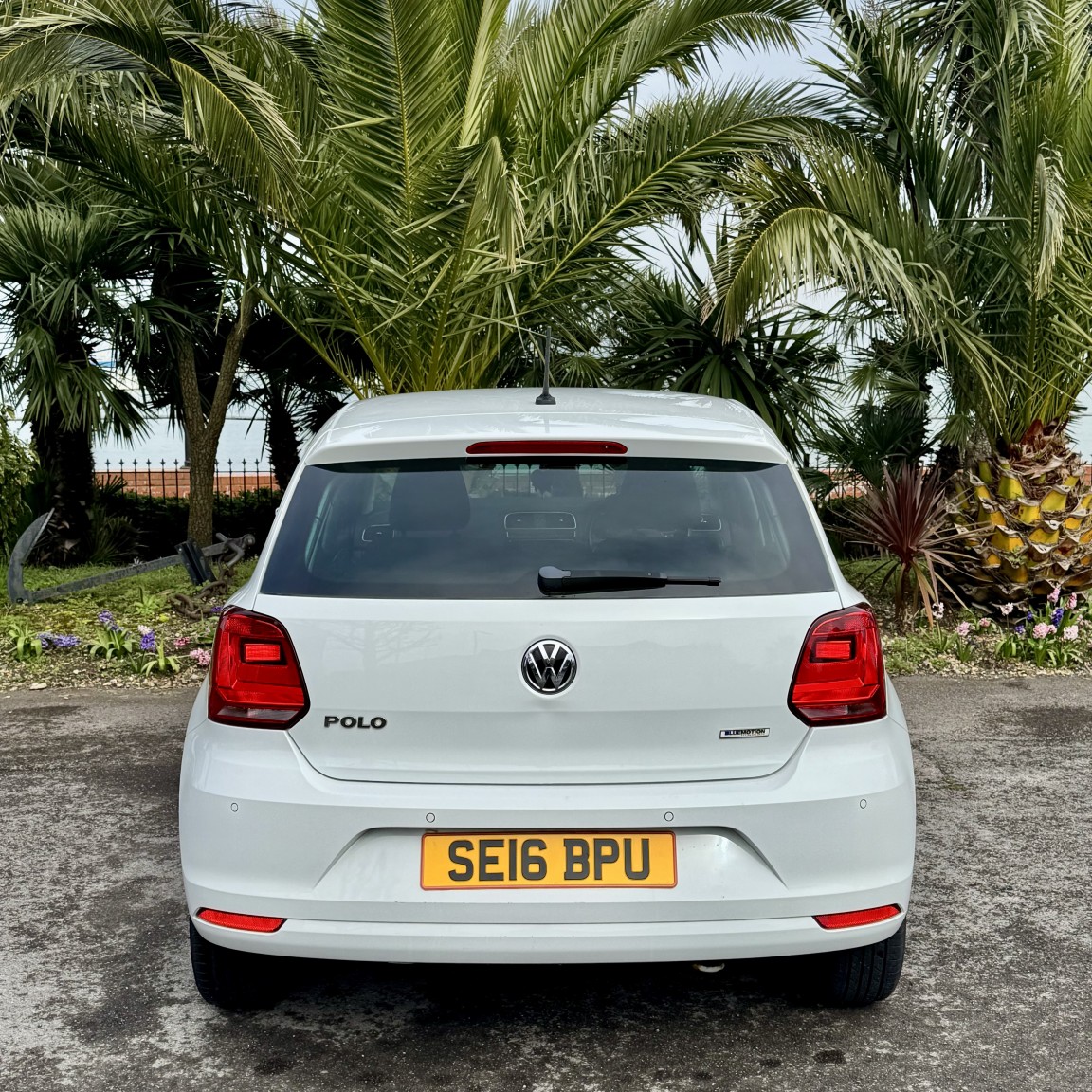 Used Volkswagen Polo 2016 for sale - 77807145: Photo 4