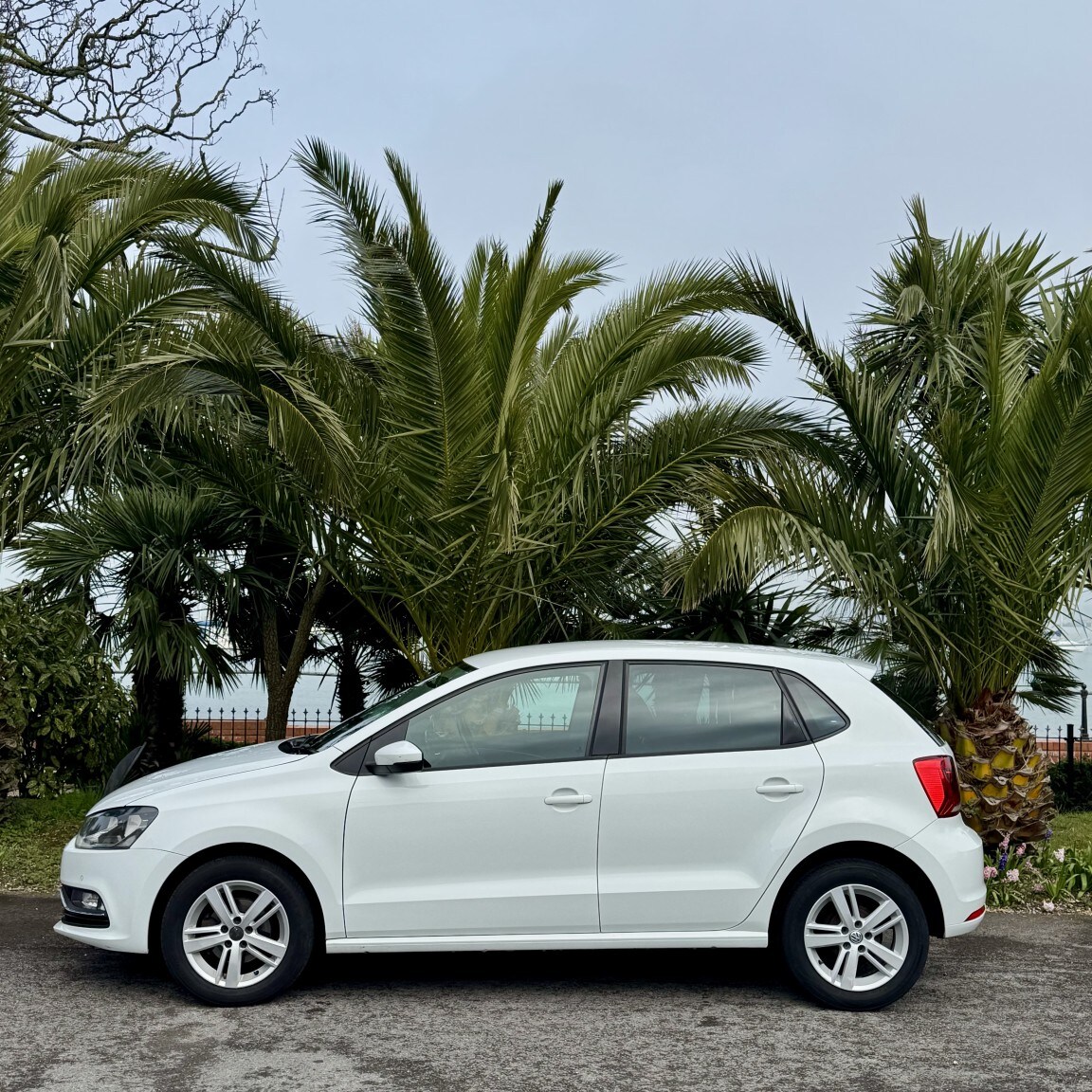 Used Volkswagen Polo 2016 for sale - 77807145: Photo 6