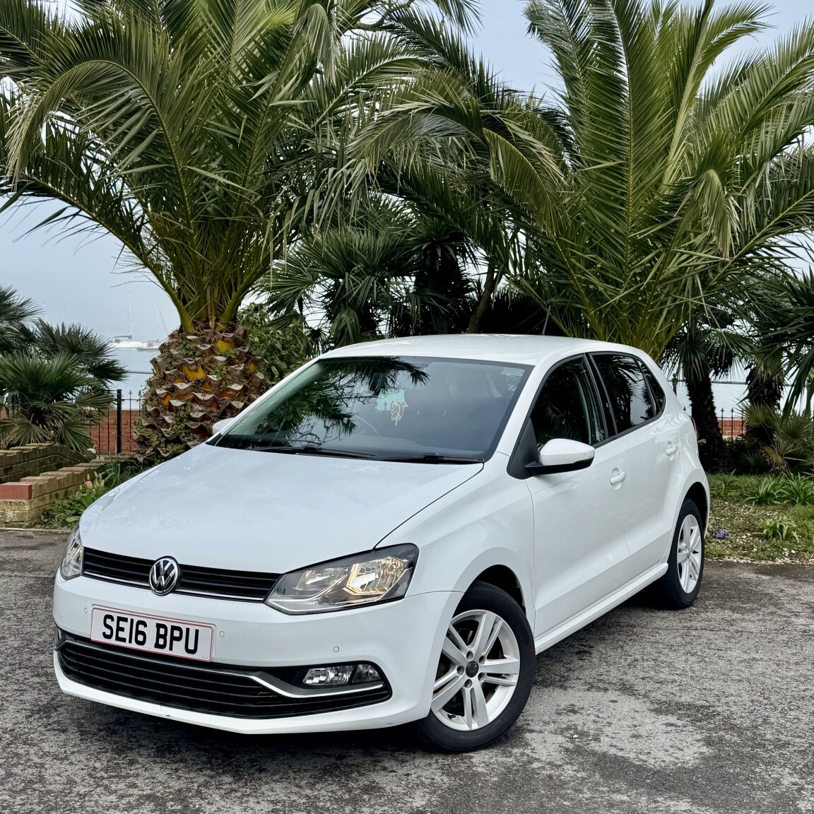 Used Volkswagen Polo 2016 for sale - 77807145: Photo 7