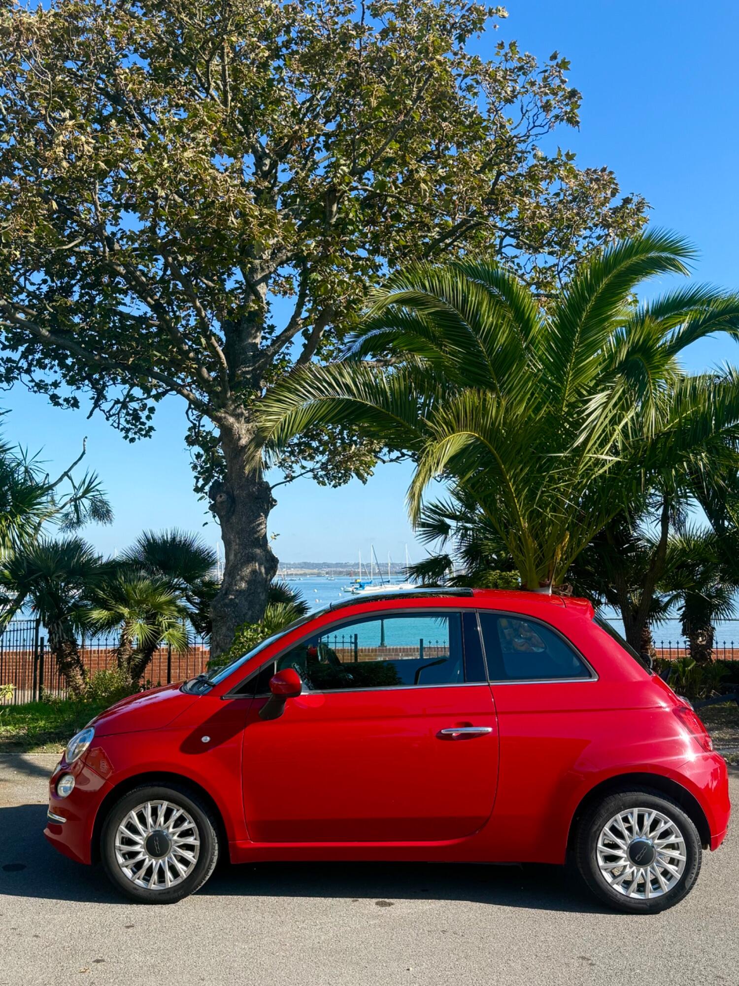 Used Fiat 500 2016 for sale - 76237266: Photo 6