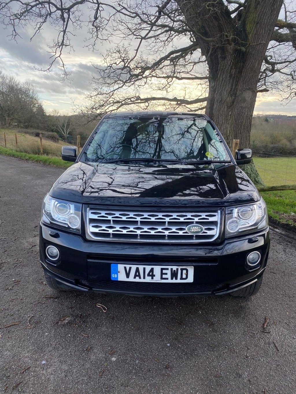 Used Land Rover Freelander 2014 for sale - 77263462: Photo 2