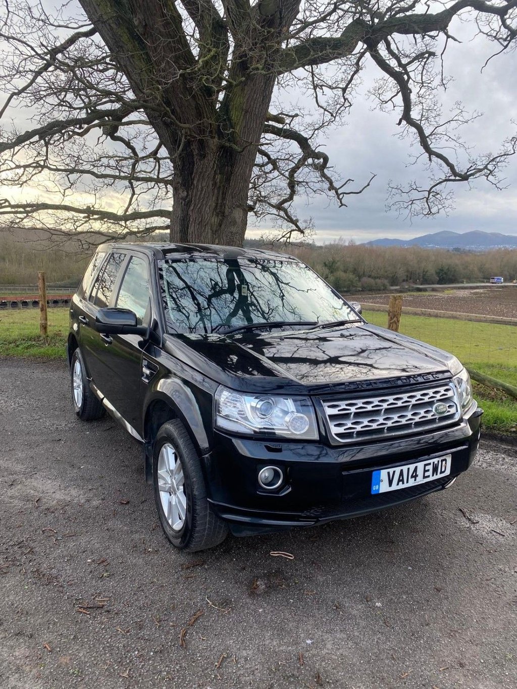 Used Land Rover Freelander 2014 for sale - 77263462: Photo 3