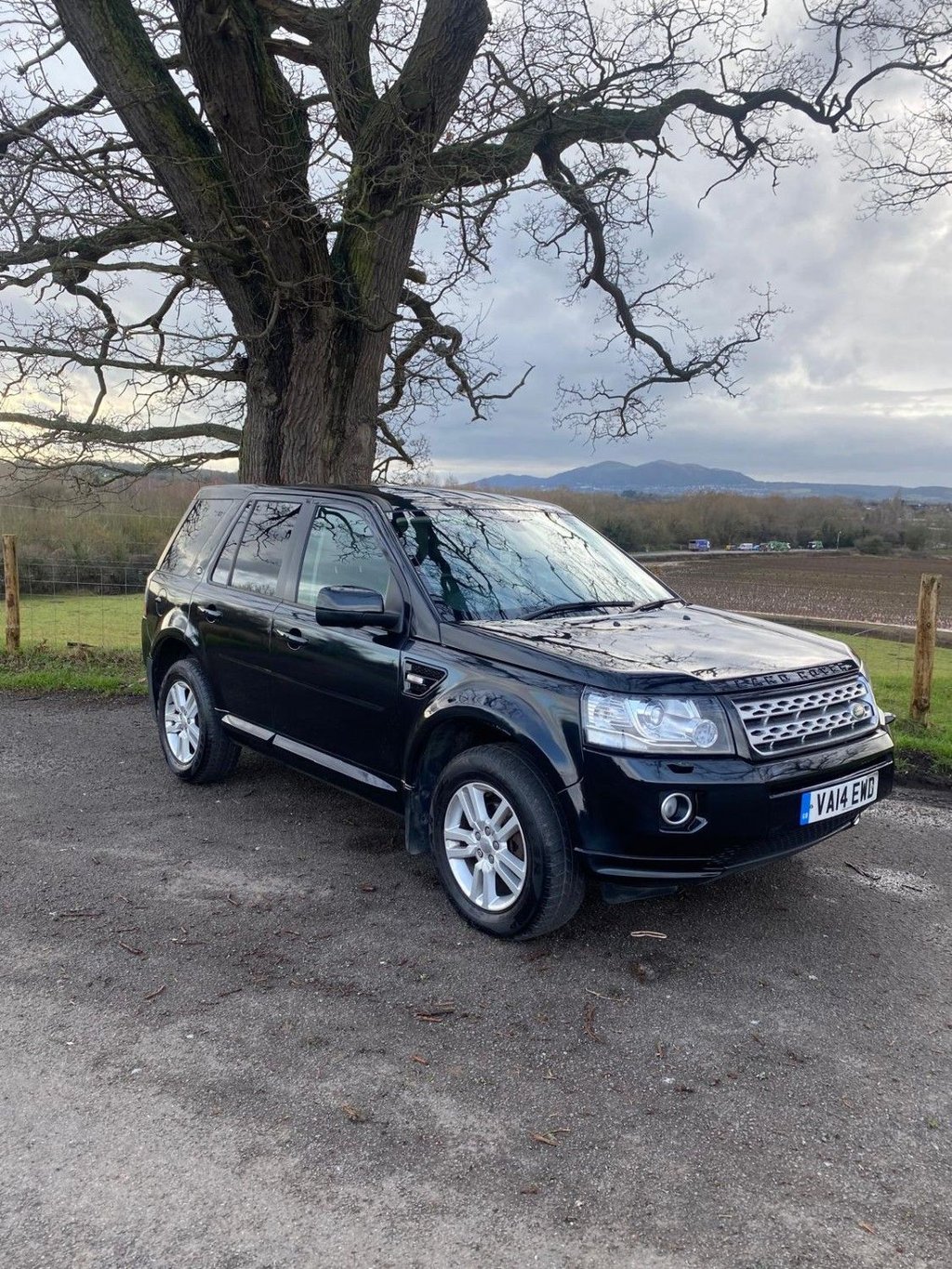 Used Land Rover Freelander 2014 for sale - 77263462: Photo 4