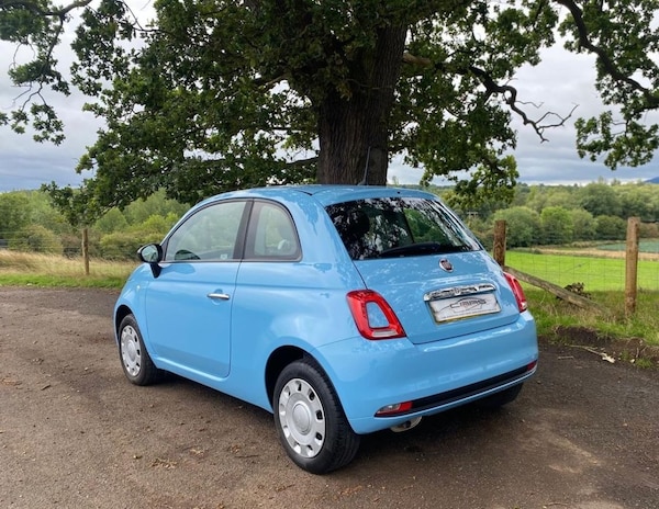 Used Fiat 500 2017 for sale - 73391705: Photo 10