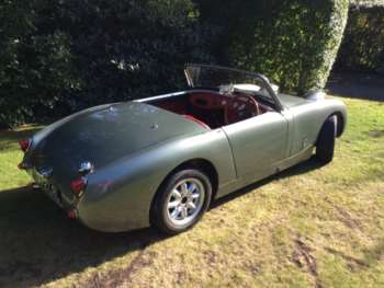 Used Austin Healey 1961 for sale - 71995942: Photo