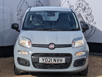 Used Fiat Panda 2021 for sale - 76263793: Photo