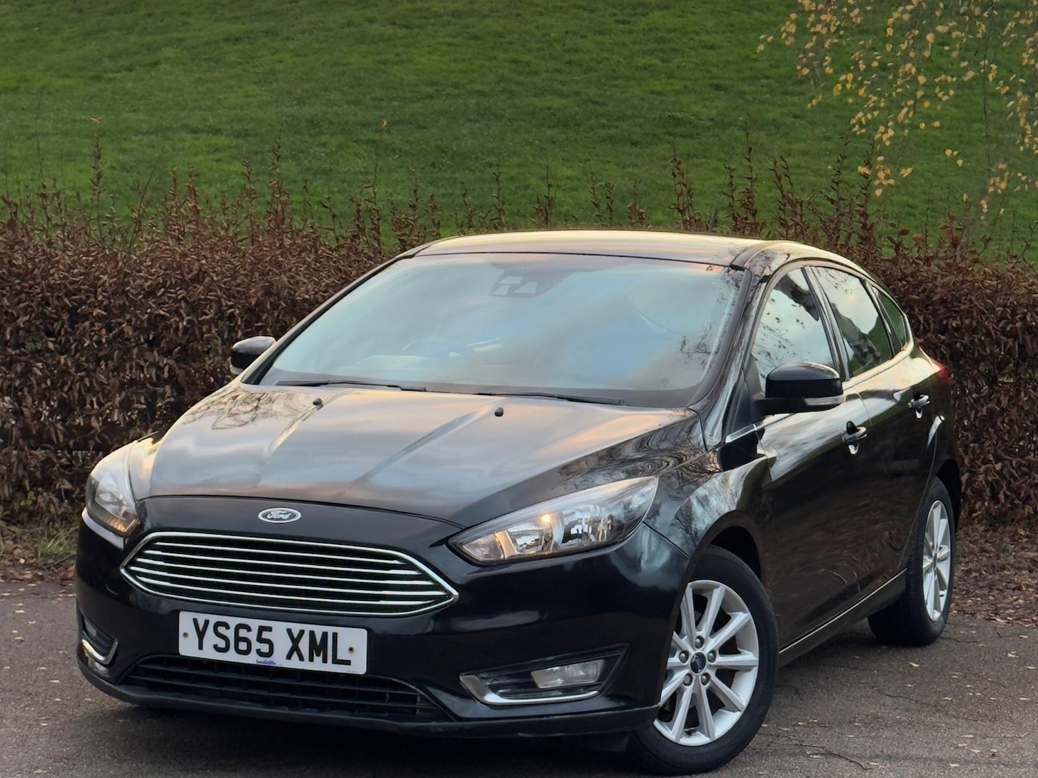 Used Ford Focus 2015 for sale - 76742812: Photo 10