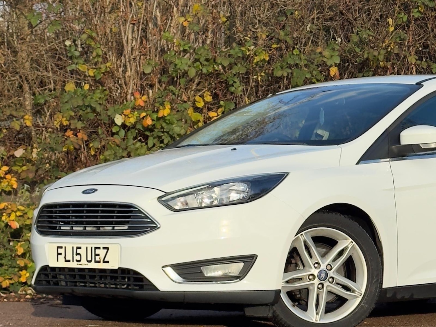 Used Ford Focus 2015 for sale - 76759394: Photo 10