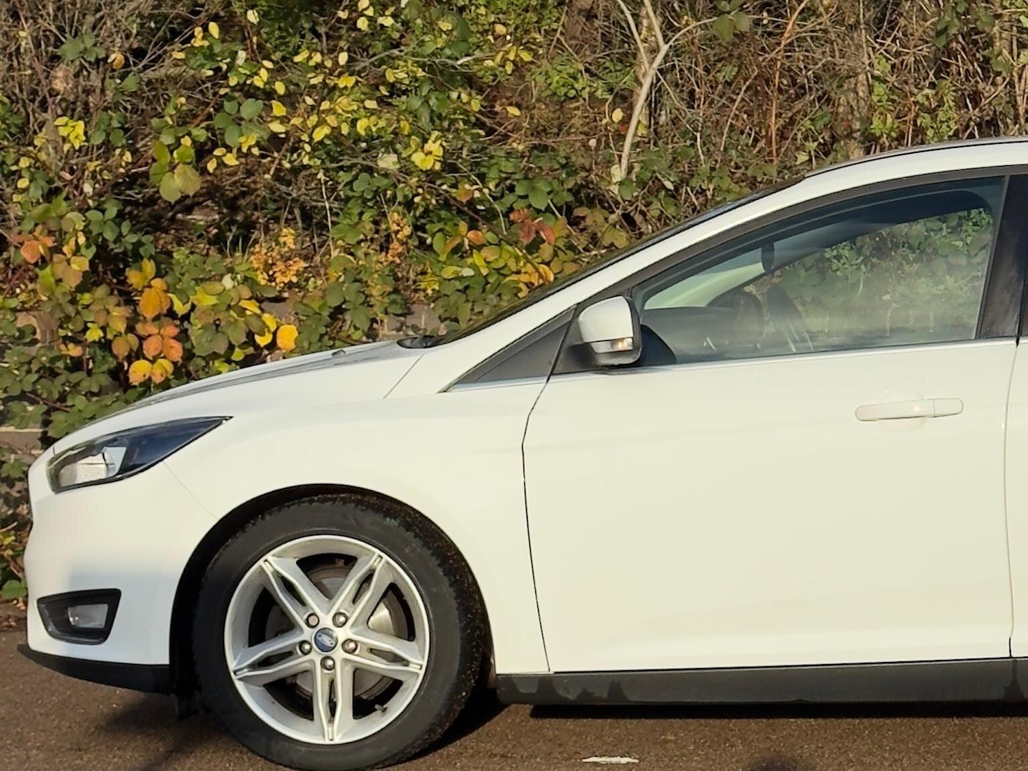 Used Ford Focus 2015 for sale - 76759394: Photo 14