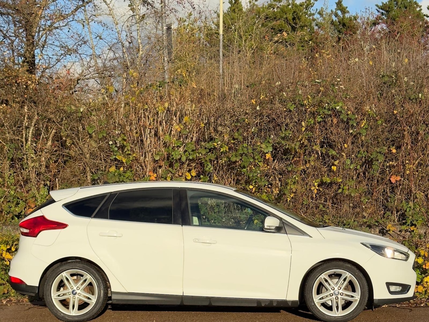 Used Ford Focus 2015 for sale - 76759394: Photo 17