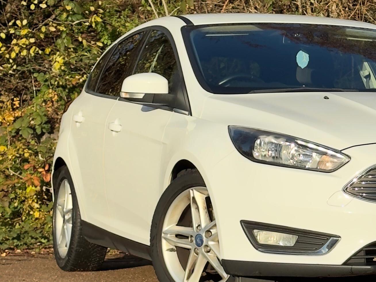 Used Ford Focus 2015 for sale - 76759394: Photo 8