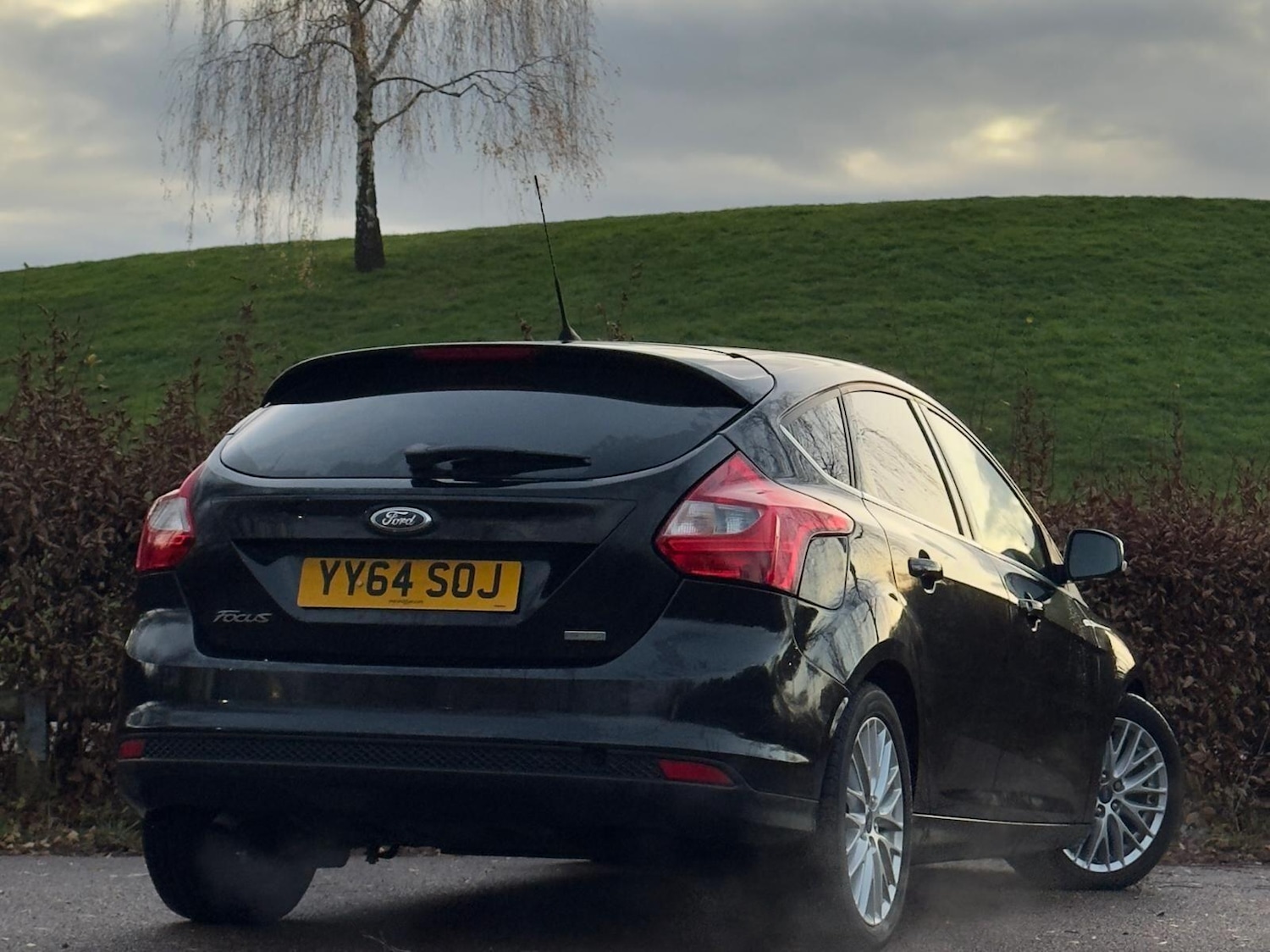 Used Ford Focus 2014 for sale - 76786800: Photo 19