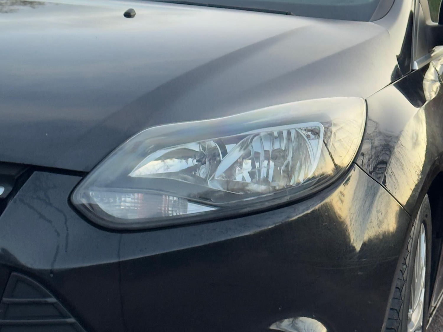 Used Ford Focus 2014 for sale - 76786800: Photo 31