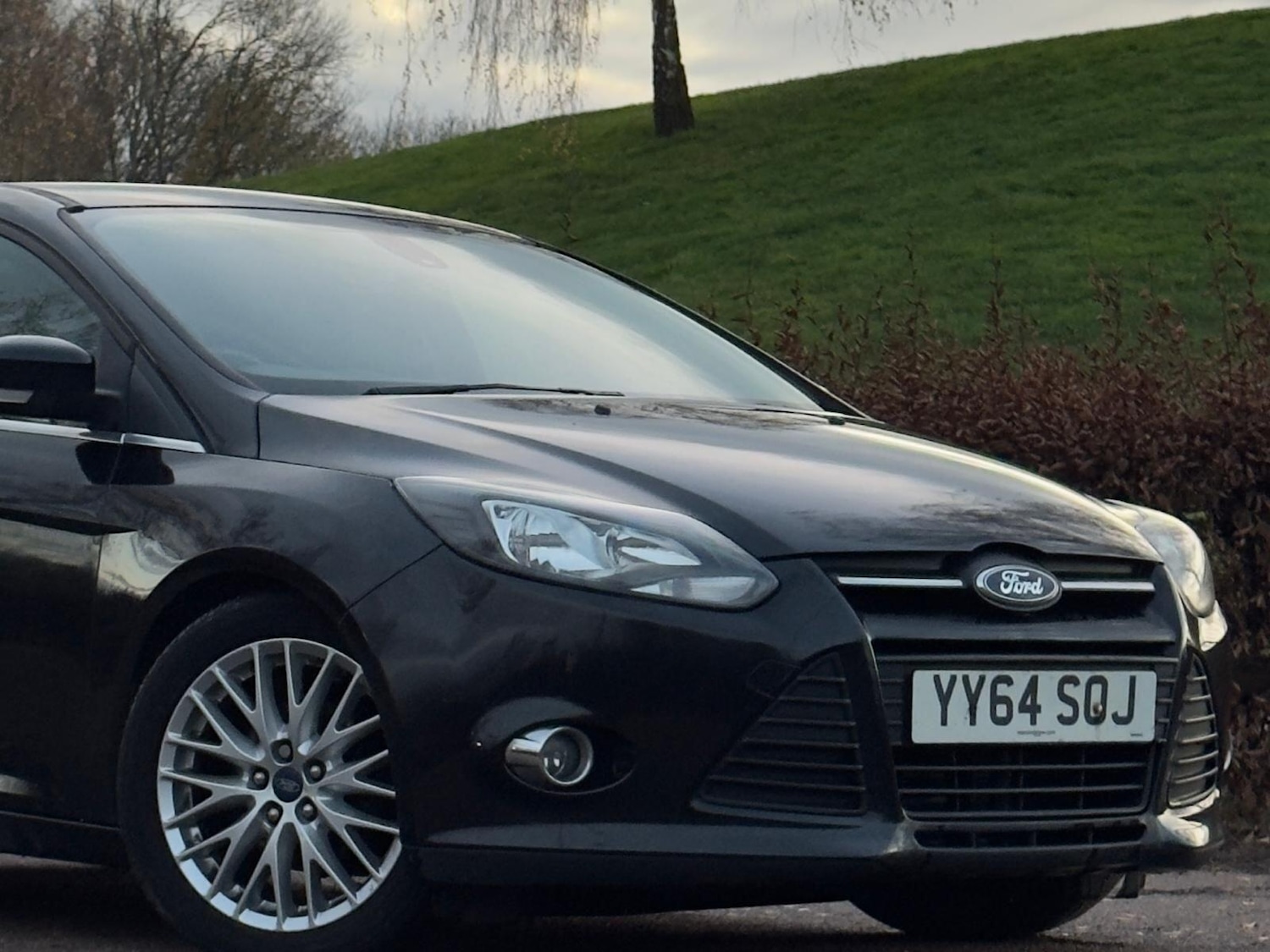 Used Ford Focus 2014 for sale - 76786800: Photo 6