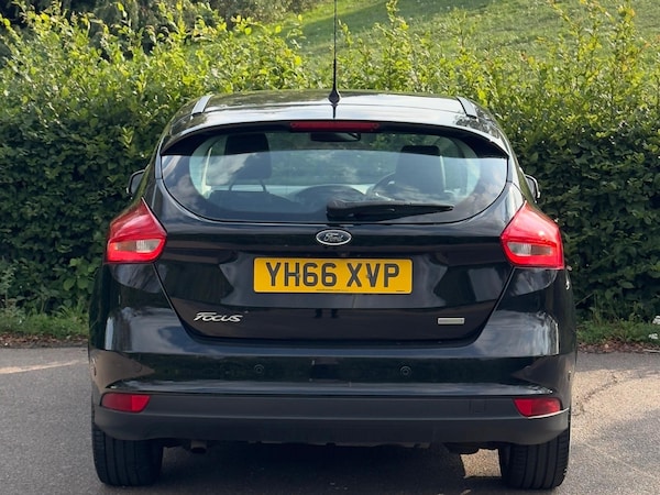 Used Ford Focus 2016 for sale - 75493363: Photo 19