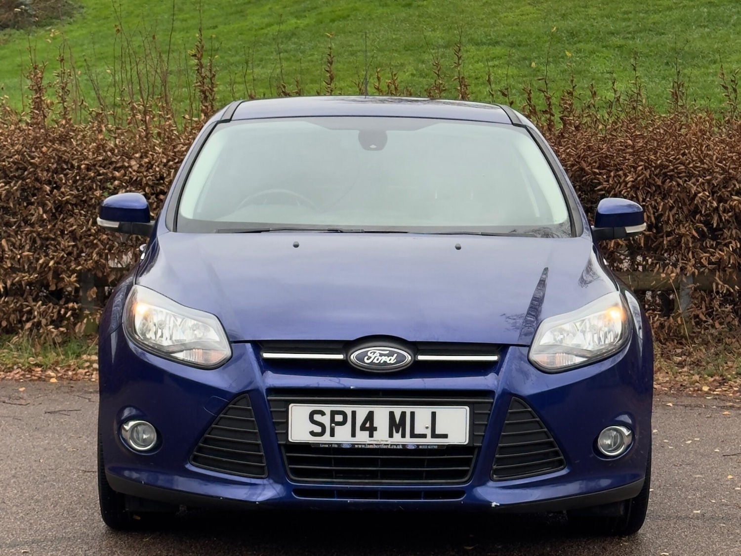 Used Ford Focus for sale - 76727793: Photo 2
