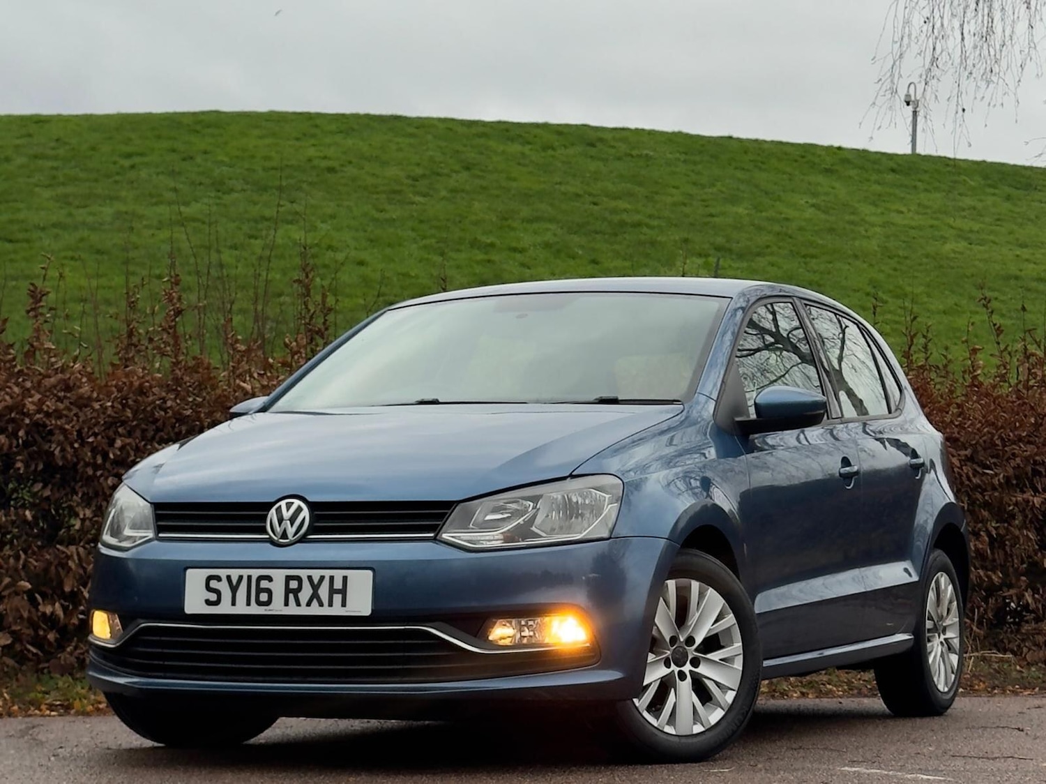 Used Volkswagen Polo 2016 for sale - 76926566: Photo 11