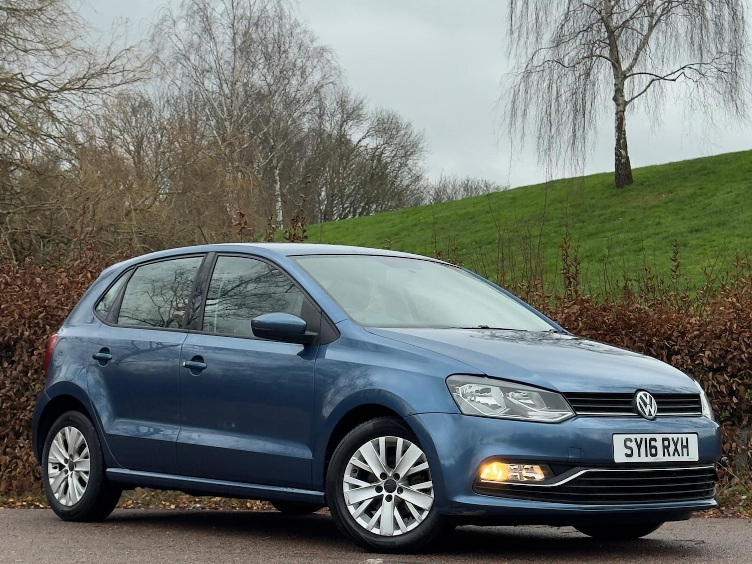 Used Volkswagen Polo 2016 for sale - 76926566: Photo 2