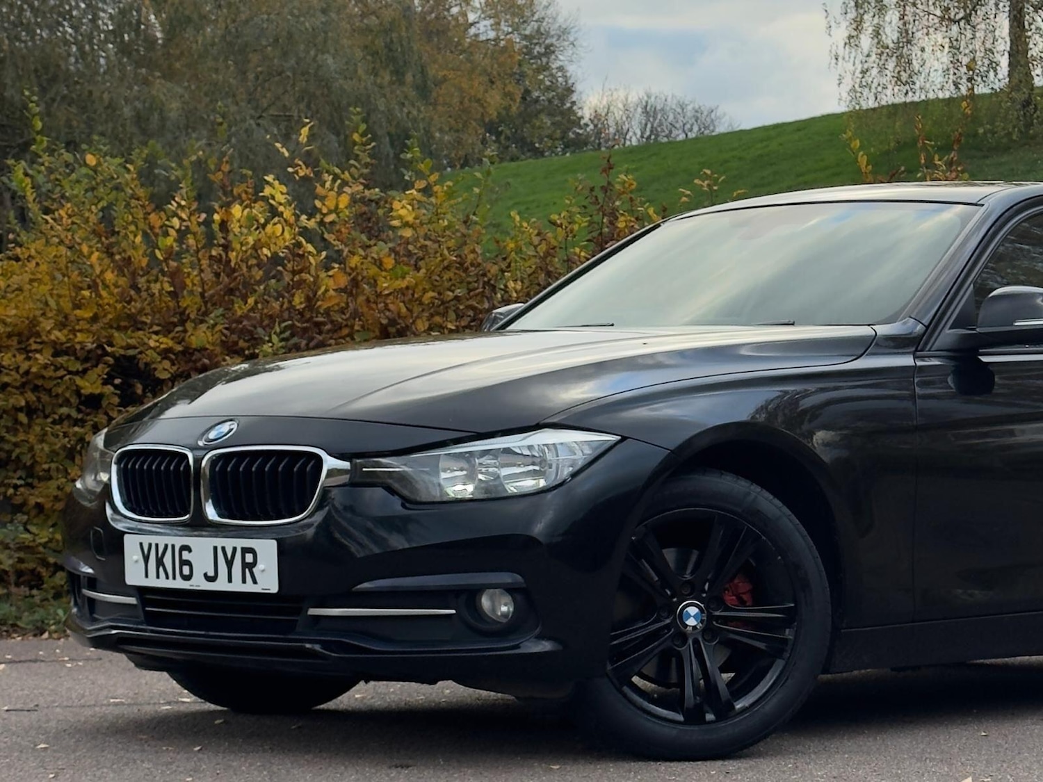 Used BMW 3 Series 2016 for sale - 76512952: Photo 3