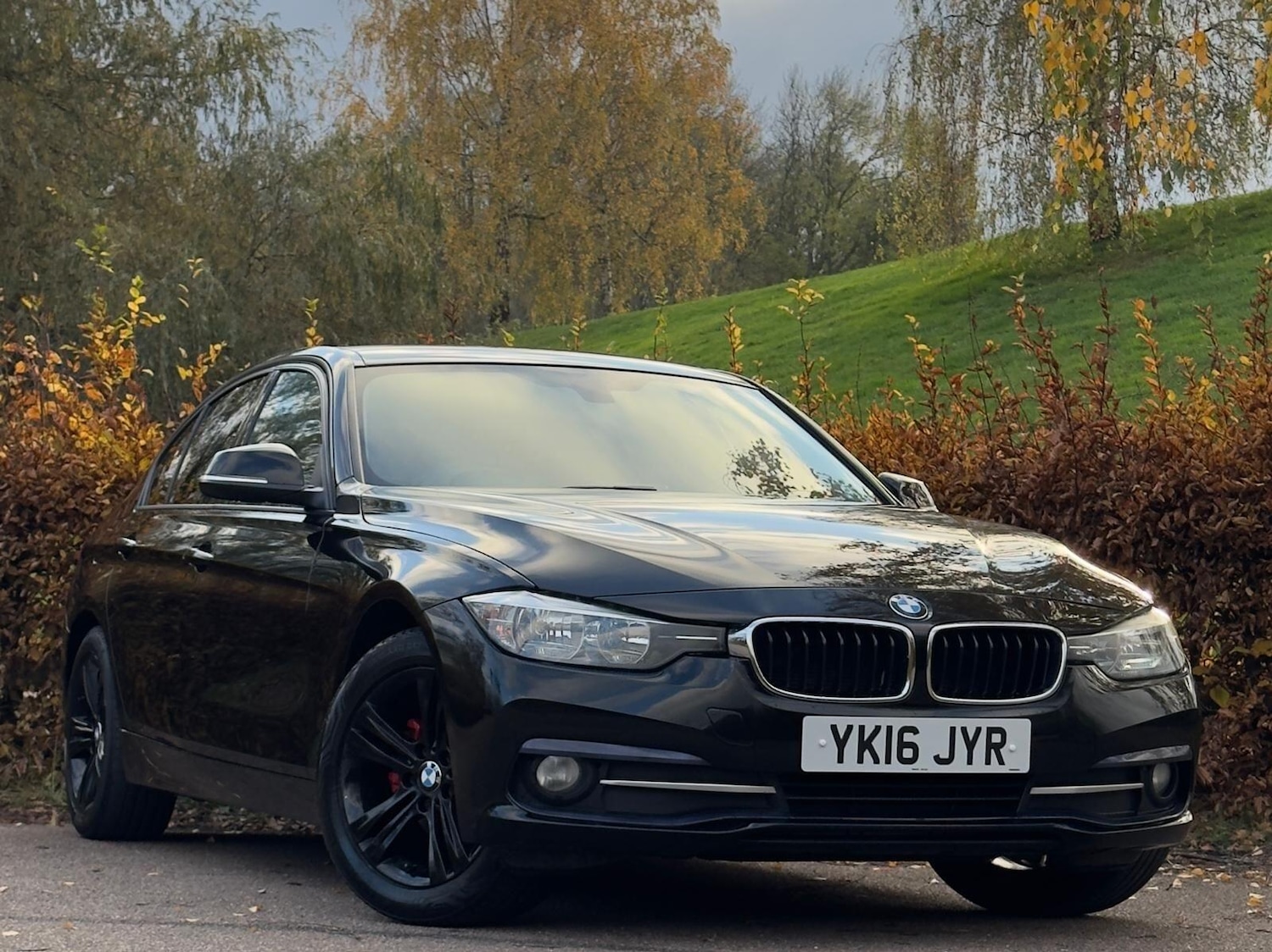 Used BMW 3 Series 2016 for sale - 76512952: Photo 5