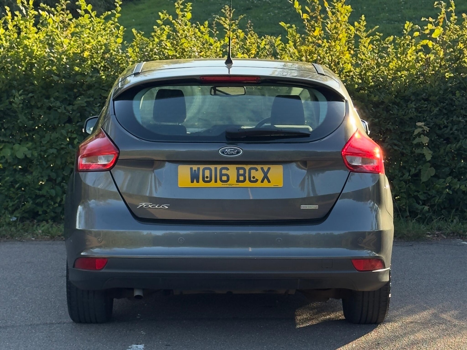 Used Ford Focus 2016 for sale - 76073075: Photo 15