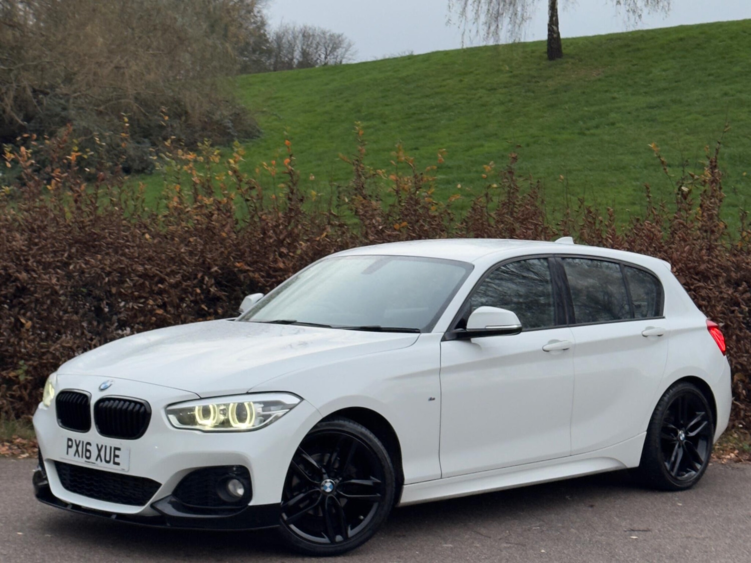 Used BMW 1 Series 2016 for sale - 76619911: Photo 14
