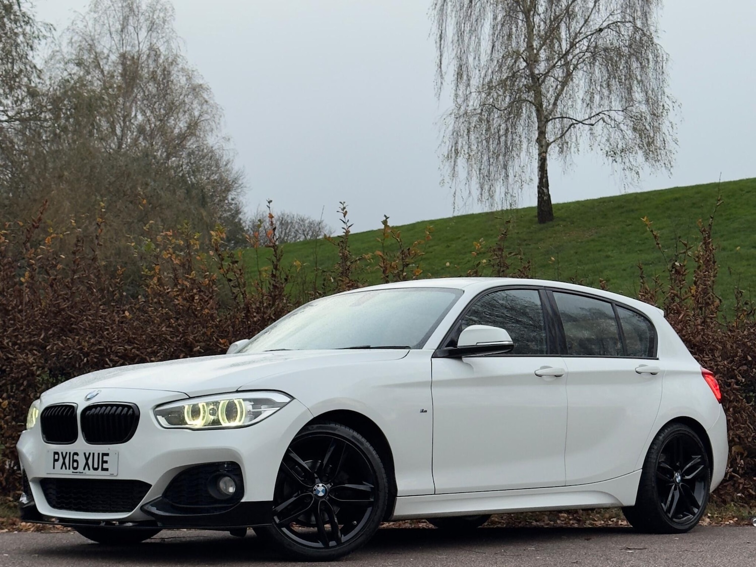 Used BMW 1 Series 2016 for sale - 76619911: Photo 5