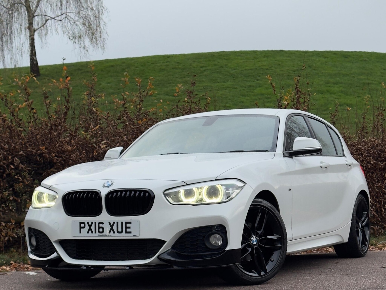 Used BMW 1 Series 2016 for sale - 76619911: Photo 6