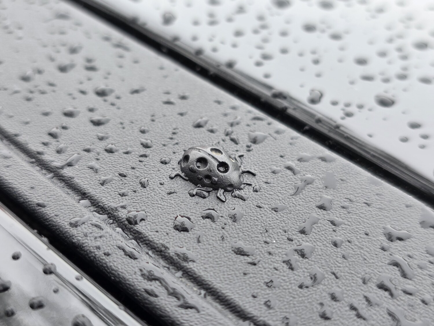 Used Jeep Other 2025 for sale - 76871497: Photo 17