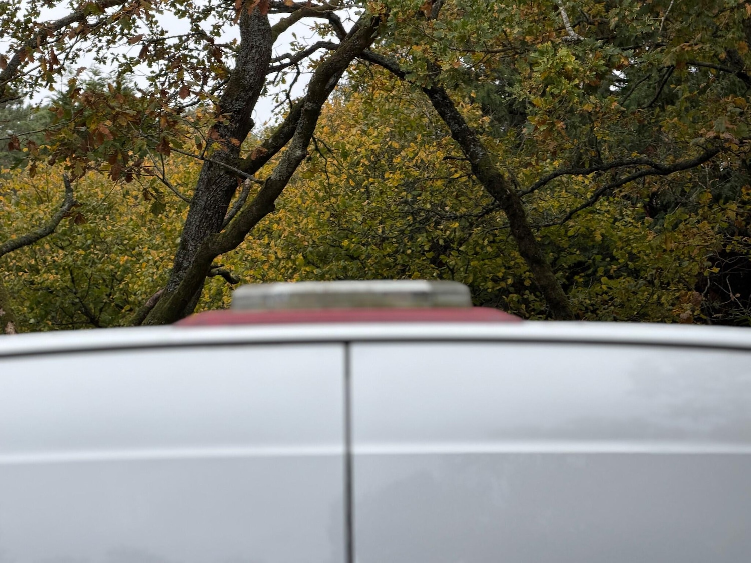 Used Volkswagen Crafter 2022 for sale - 76778113: Photo 19