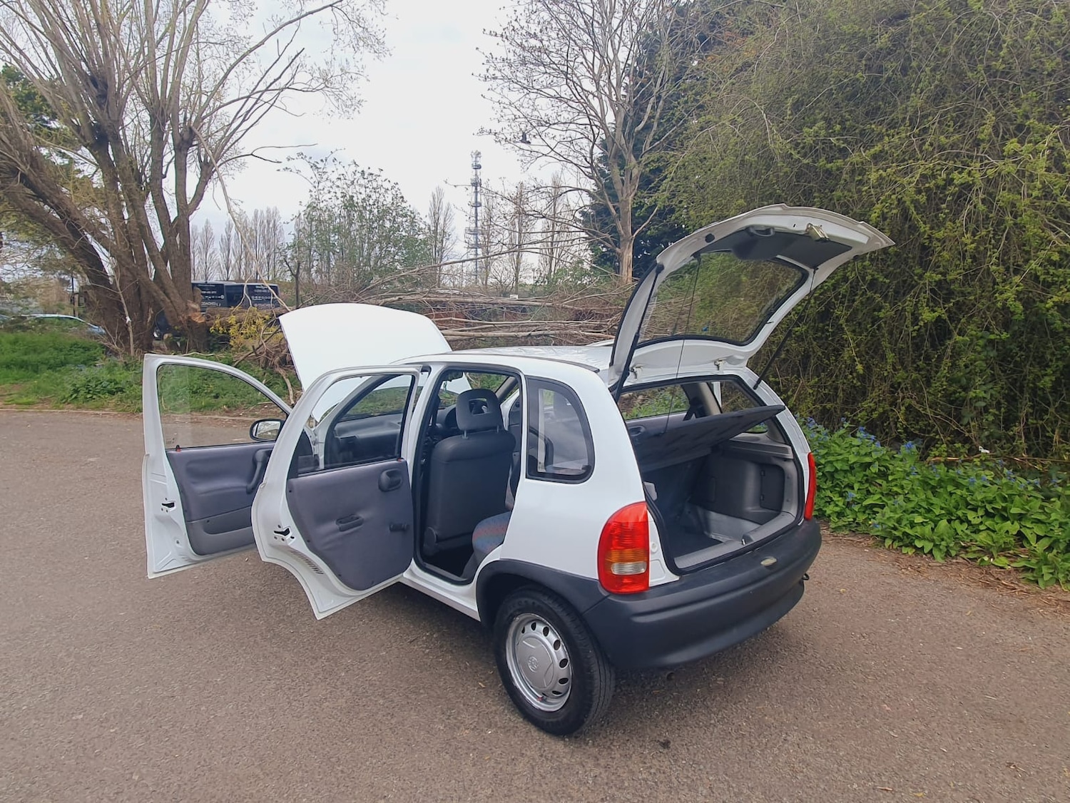 Used Vauxhall Corsa 1995 for sale - 78092912: Photo 20