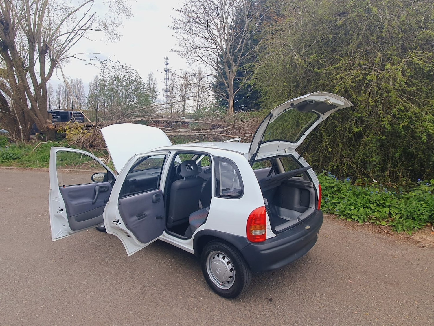 Used Vauxhall Corsa 1995 for sale - 78092912: Photo 8