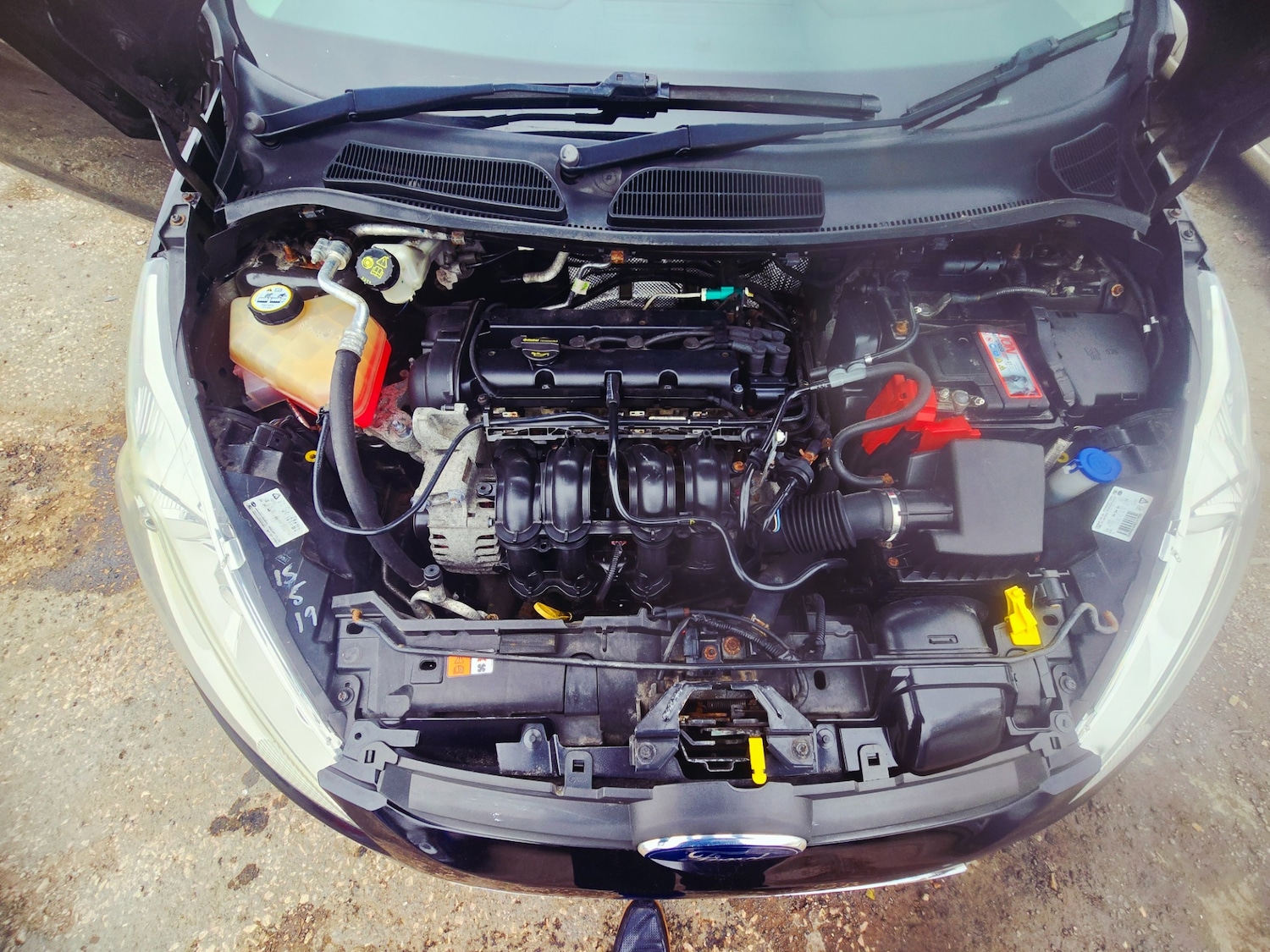 Used Ford Fiesta 2012 for sale - 77840539: Photo 14