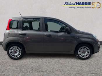 Used Fiat Panda 2021 for sale - 74958414: Photo