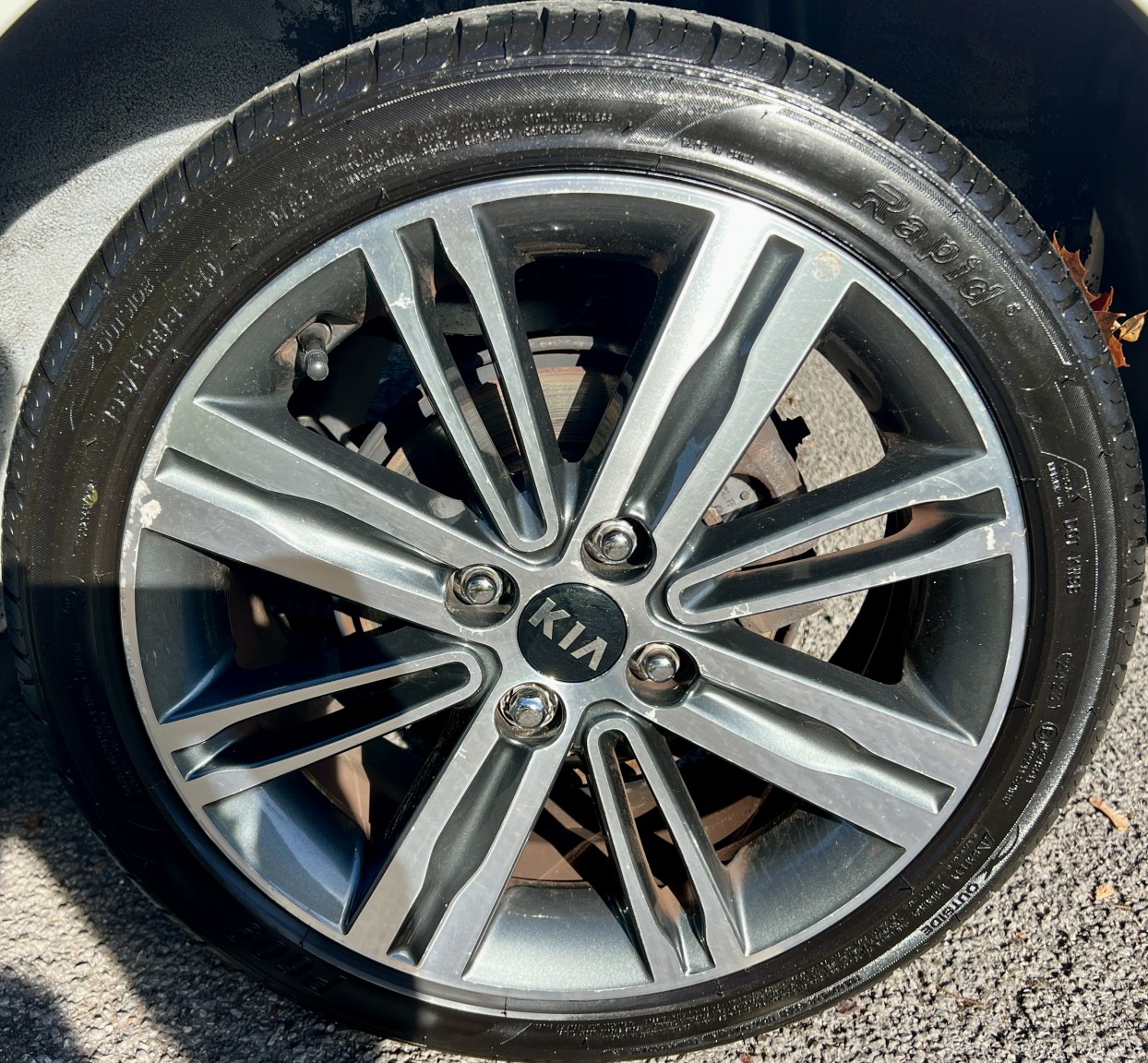 Used Kia Picanto 2019 for sale - 76019661: Photo 11