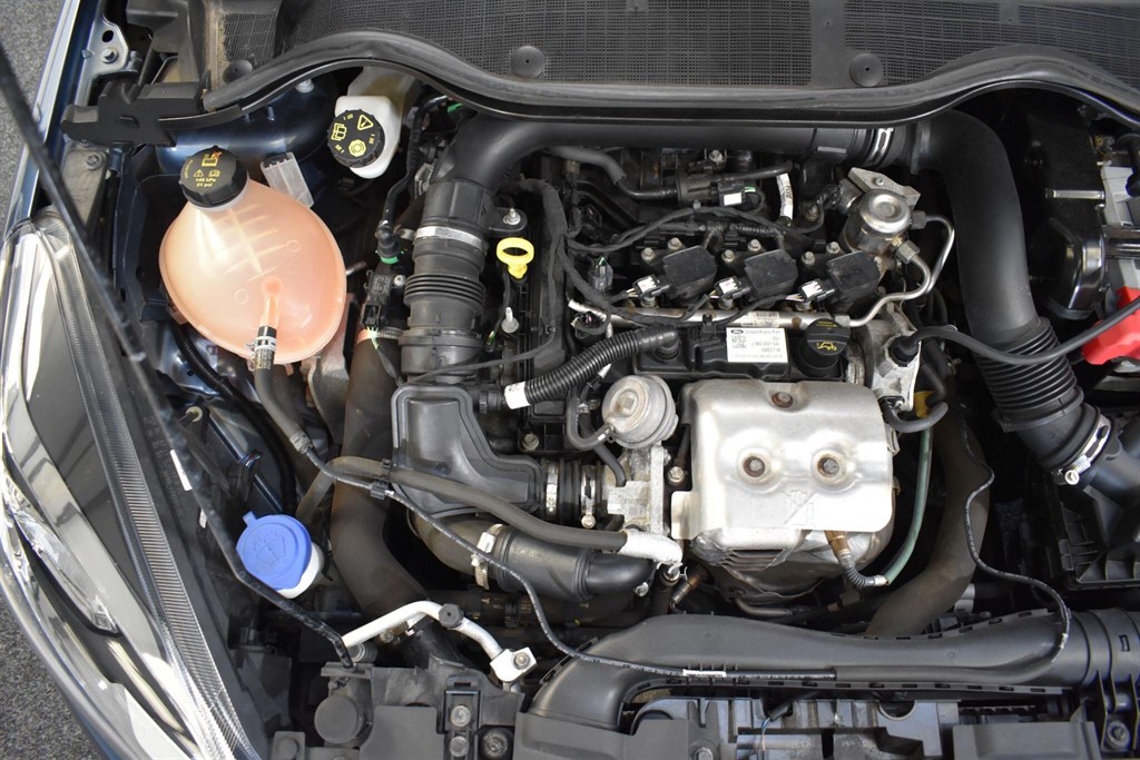 Used Ford Fiesta 2019 for sale - 77975705: Photo 22