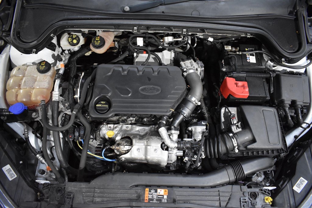 Used Ford Focus 2019 for sale - 77600729: Photo 21