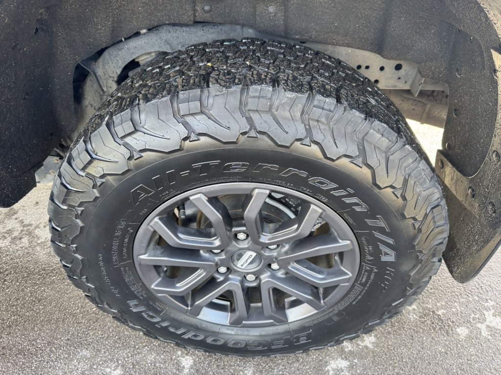 Used Ford Ranger 2023 for sale - 77558117: Photo 41