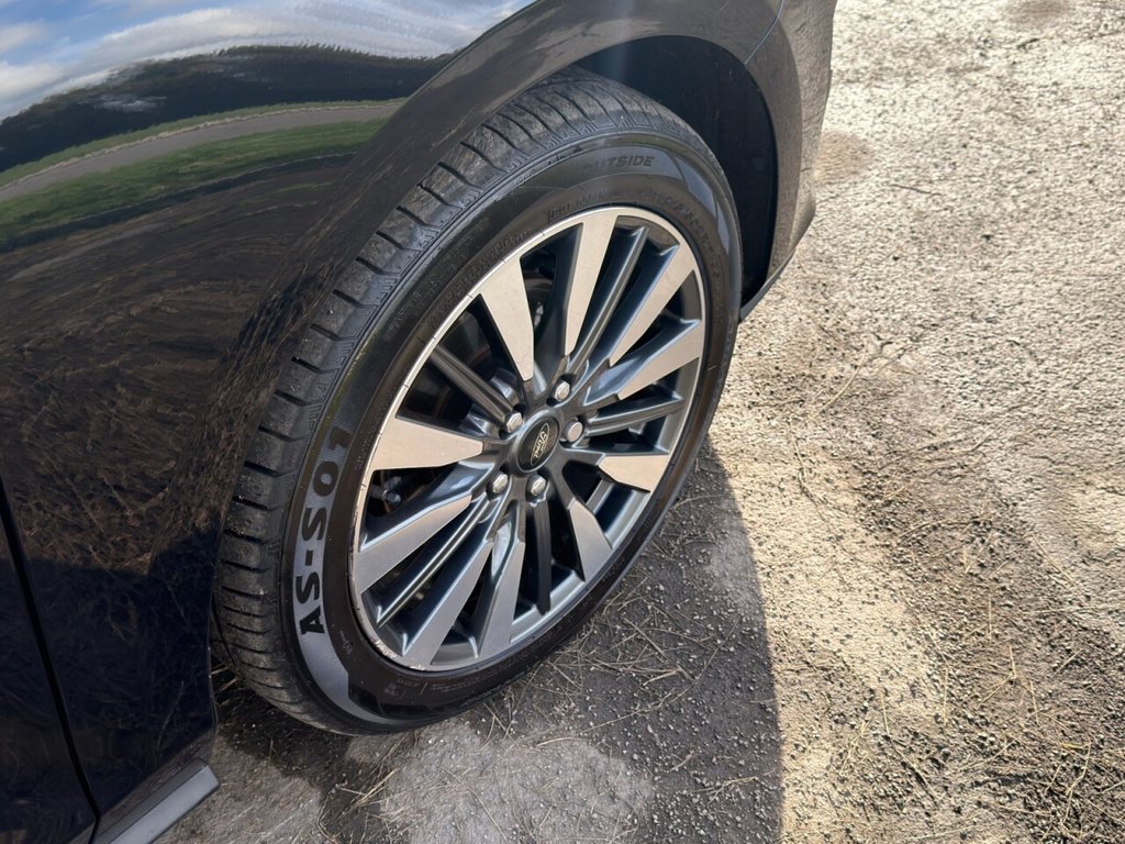 Used Ford Focus 2023 for sale - 76482245: Photo 14