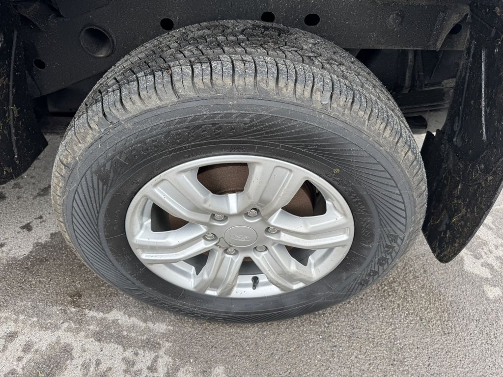 Used Ford Ranger 2022 for sale - 77328223: Photo 43