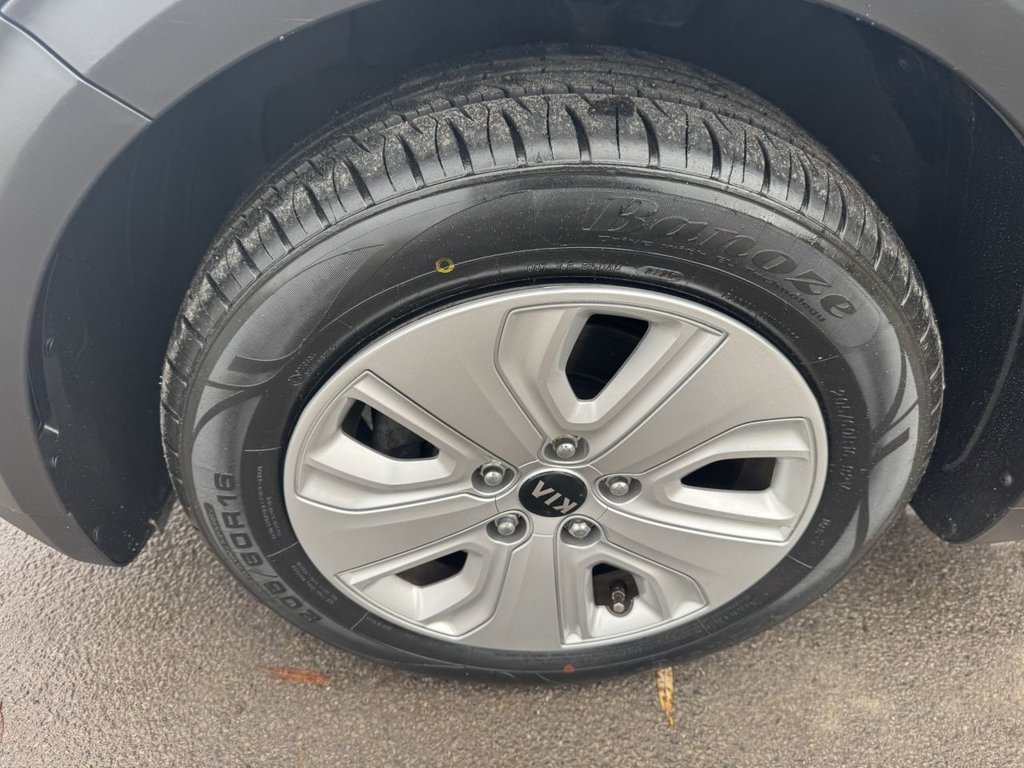 Used Kia Niro 2019 for sale - 76406512: Photo 36