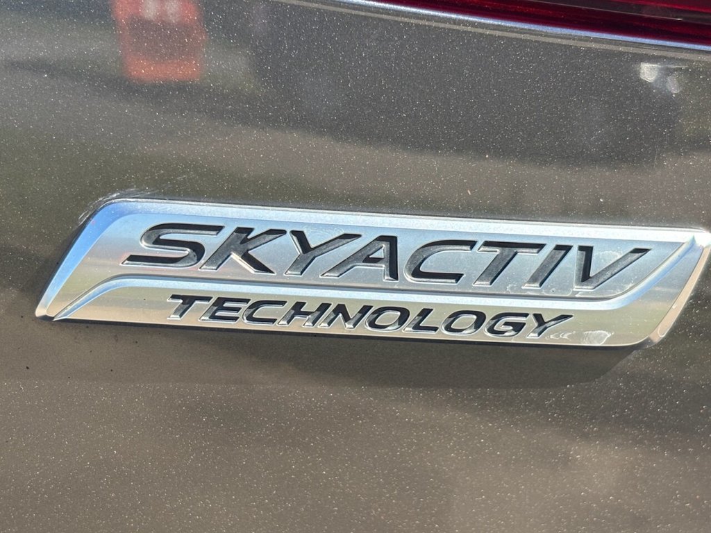 Vehicle 31