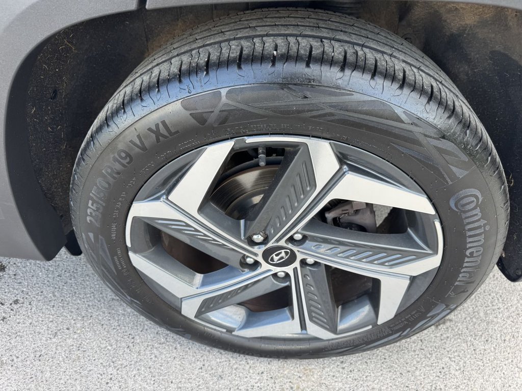 Used Hyundai TUCSON 2022 for sale - 76235750: Photo 47