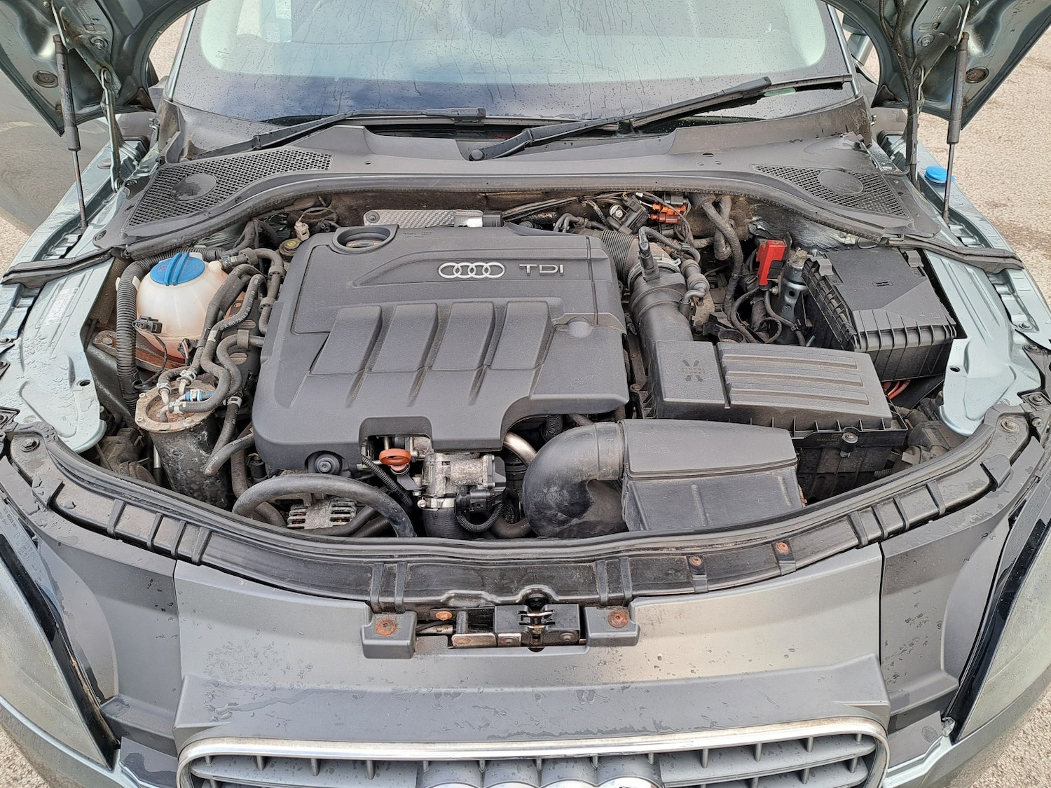 Used Audi TT 2008 for sale - 78098291: Photo 28