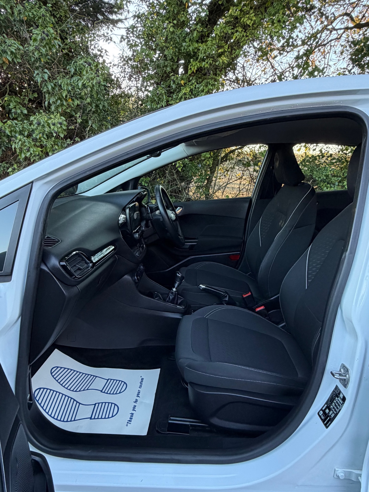 Used Ford Fiesta 2018 for sale - 76697020: Photo 13