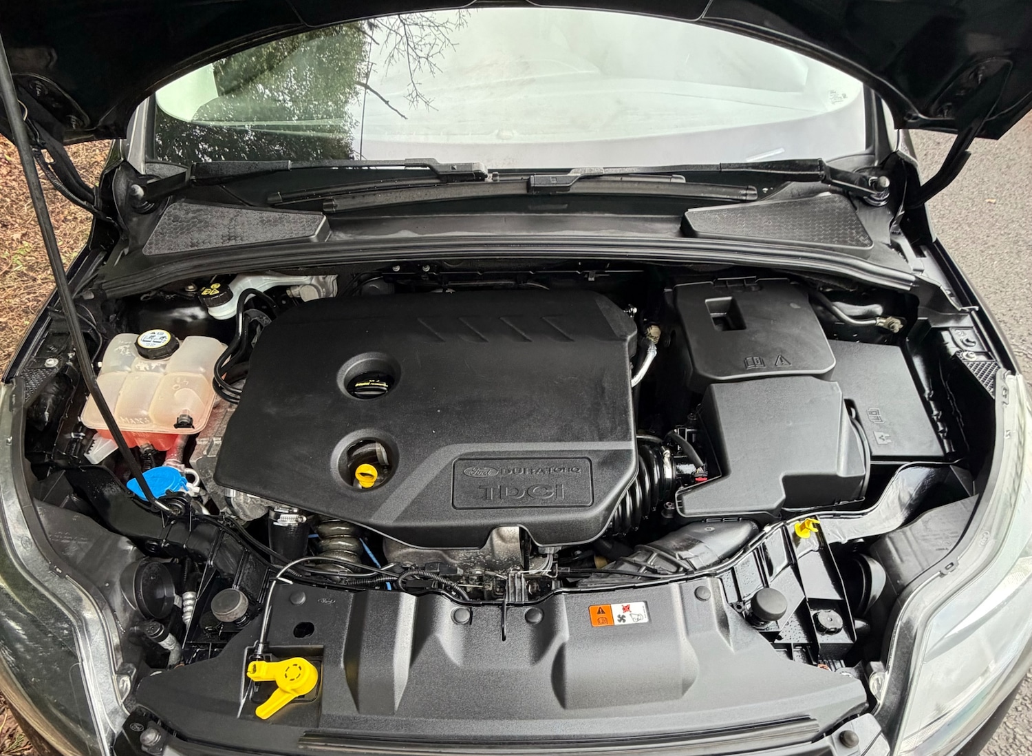 Used Ford Focus 2014 for sale - 77622333: Photo 18