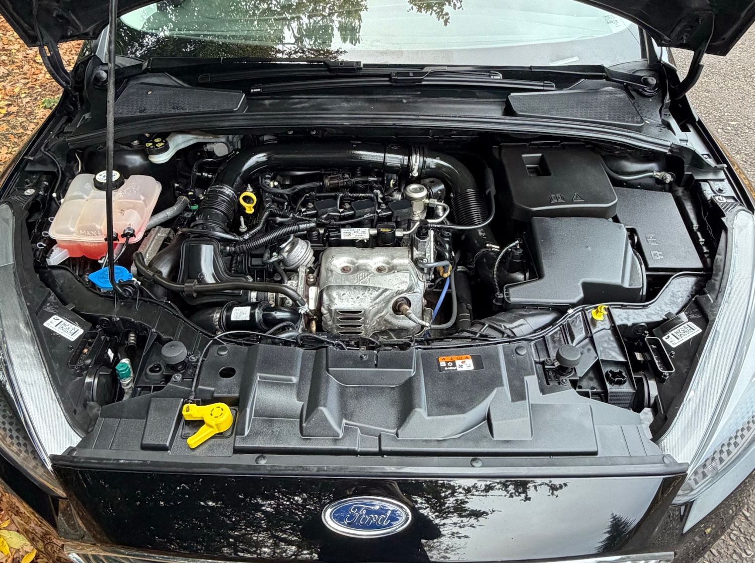 Used Ford Focus 2017 for sale - 76560169: Photo 19