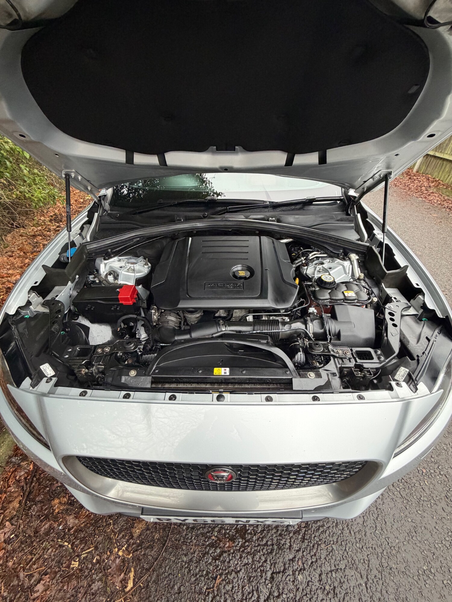 Used Jaguar F-Pace 2016 for sale - 77195454: Photo 17