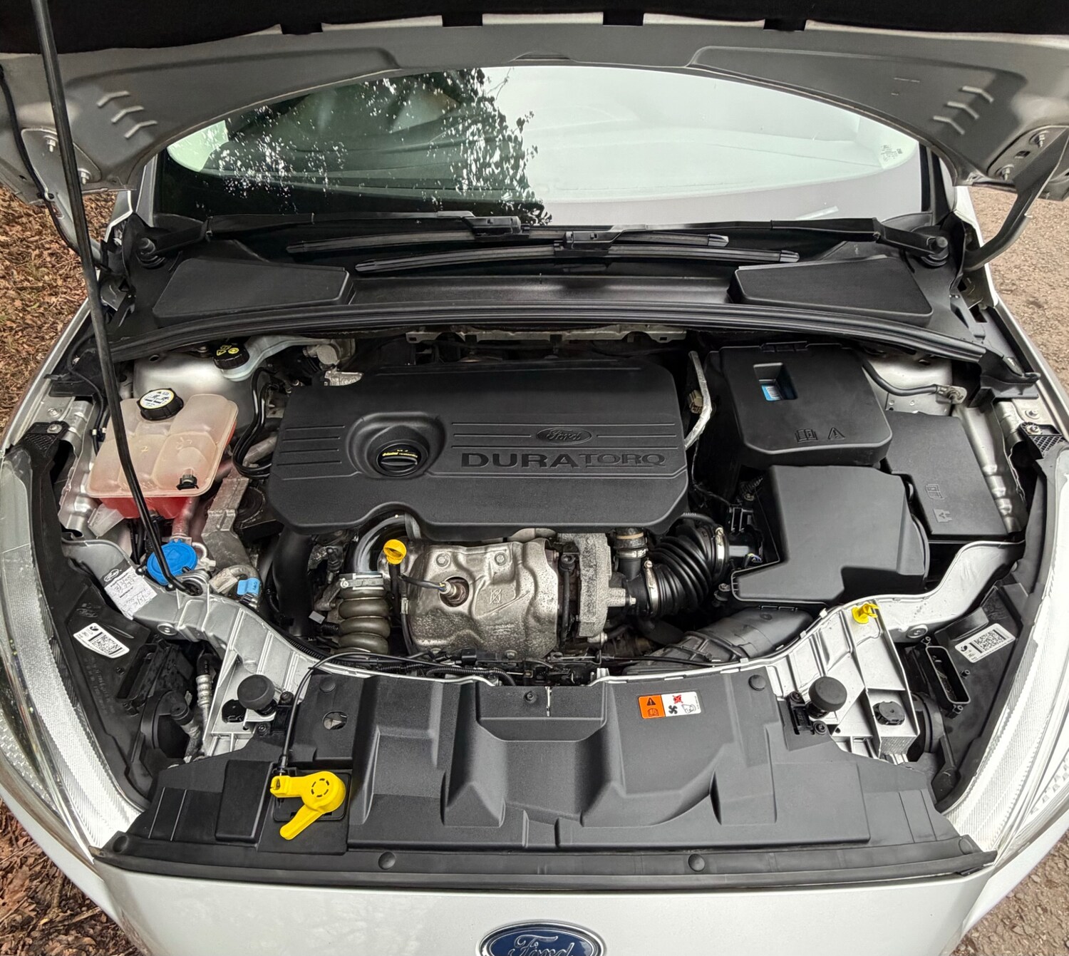 Used Ford Focus 2015 for sale - 77438769: Photo 19